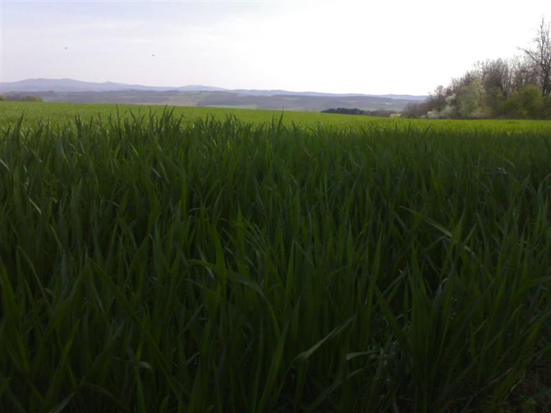 200704091700 .jpg